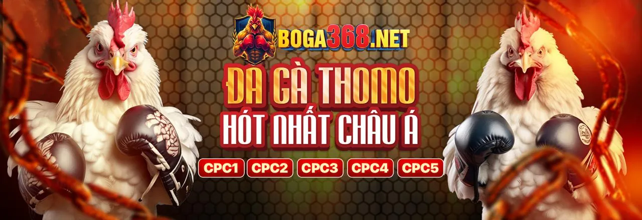 Sòng bạc trực tuyến WIN2026VN với đá gà Thomo trực tiếp